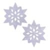 Pasties - Snowflake