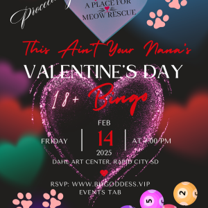 3rd Annual ~ This Ain’t Your Nana’s ~ Valentine’s 2025